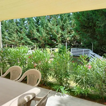 Villa Casa Mango